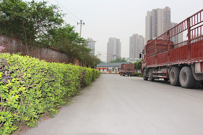 廠區(qū)環(huán)境